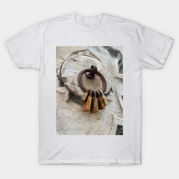 Rings of Love T-Shirt by Rustic Portal